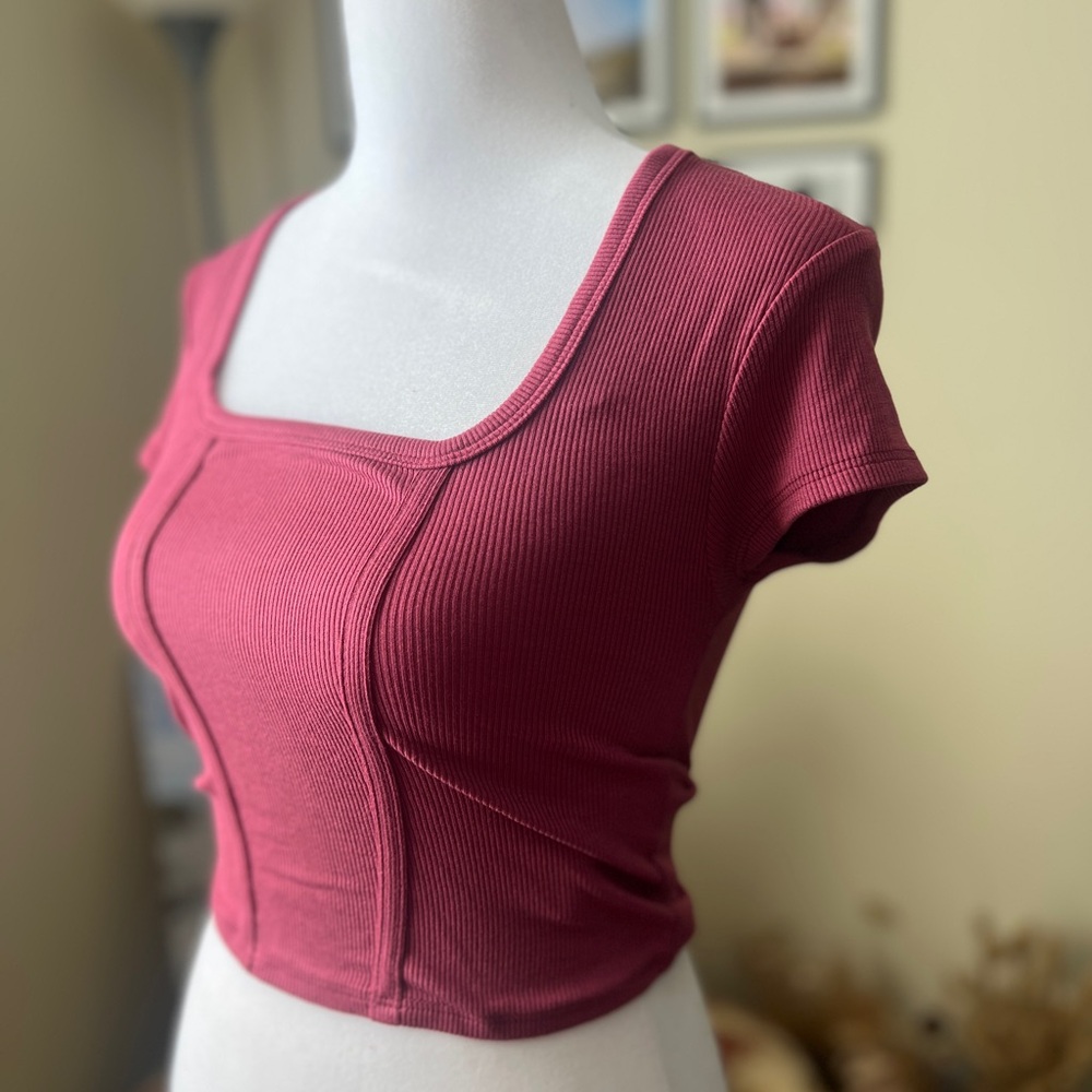Streetwear Society Short Sleeved Ribbed Crop Top Size S/P Mauve